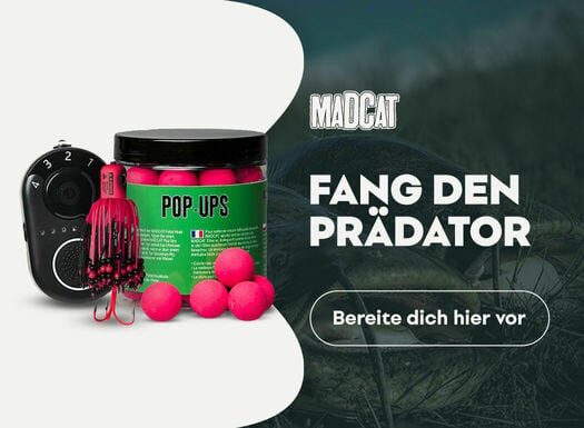 Madcat - listing - 07/2022