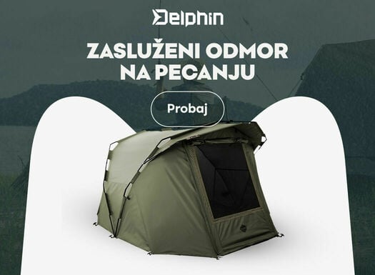 Delphin - listing - 08/2022