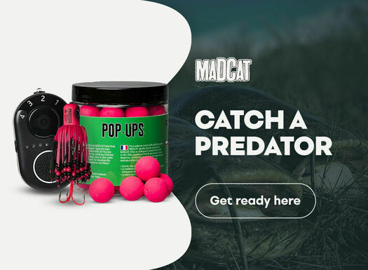 Madcat - listing - 07/2022