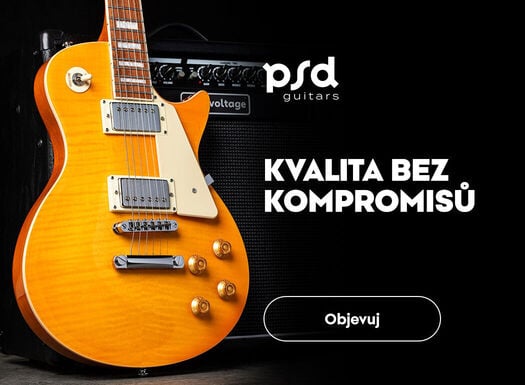 PSD gitary - Listing - 06/2026