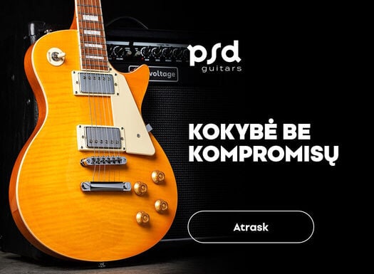 PSD gitary - Listing - 06/2026