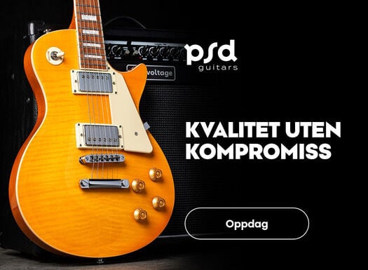 PSD gitary - Listing - 06/2026