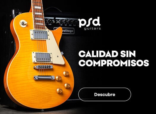 PSD gitary - Listing - 06/2026