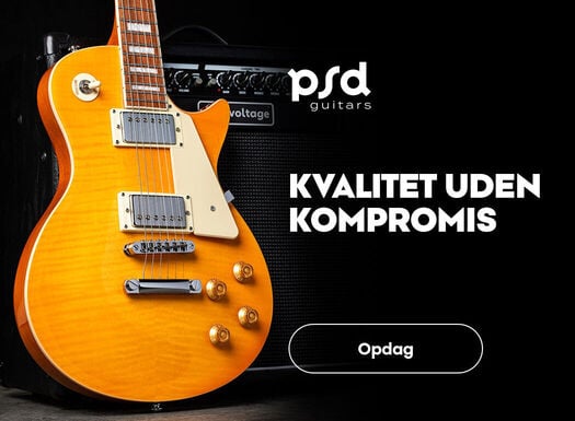 PSD gitary - Listing - 06/2026