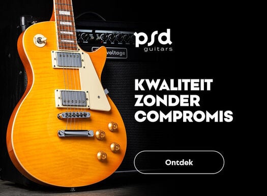 PSD gitary - Listing - 06/2026