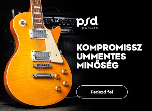 PSD gitary - Listing - 06/2026