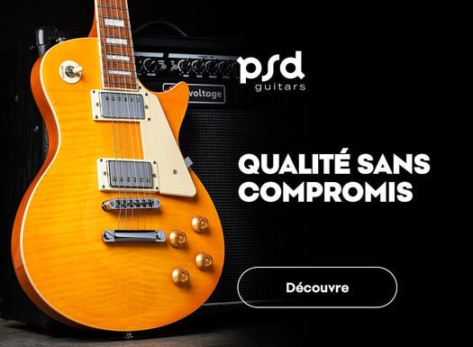 PSD gitary - Listing - 06/2026