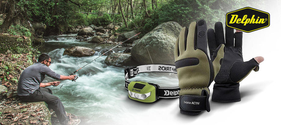 Delphin - Carousel 03.2020