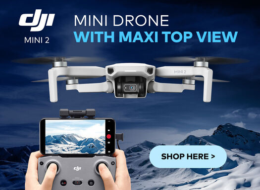 DJI Mavic Mini 2 - listing - 2021/01
