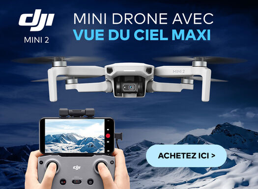 DJI Mavic Mini 2 - listing - 2021/01