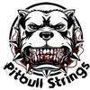 Pitbull Strings
