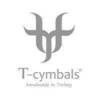 T-cymbals