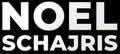Noel Schajris