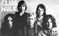 Elias Hulk