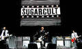 Sugarcult