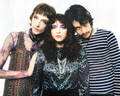 The Velveteers