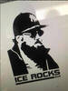 Icerocks DXA