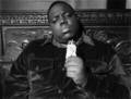 Notorious Big