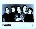 Hawks