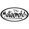 The Meteoroids