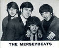 The Merseybeats
