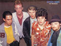 The Piranhas