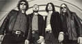 Thee Braindrops