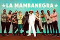 La Mambanegra