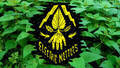 Electric Nettles