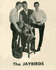 The Jaybirds