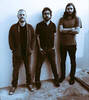 Beak>