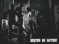Beaten By Hippies