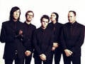 Black Honey Cult