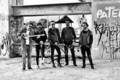 Conan Castro And The Moonshine Piñatas