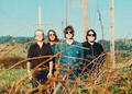 The Asteroid #4