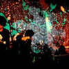 The Oscillation