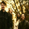 The Pearlfishers