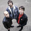The Crawlies