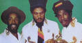 The Creation Steppers