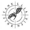 Camellia Sinensis