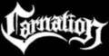 Carnation
