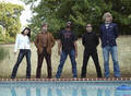 Dirtbombs