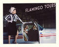 Flamingo Tours