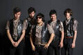 Los Peyotes
