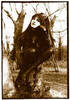 Rose McDowall