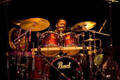 Steve Potts