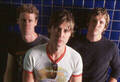 The Casanovas