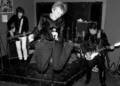 The Woggles