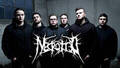 Necrotted