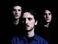 These New Puritans